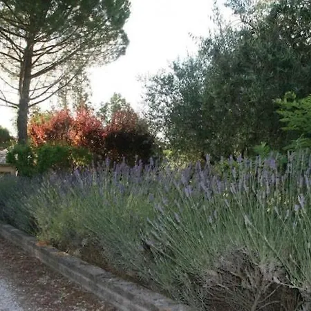 Il Casolare La Lavanda *