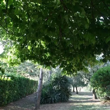 Il Casolare La Lavanda *